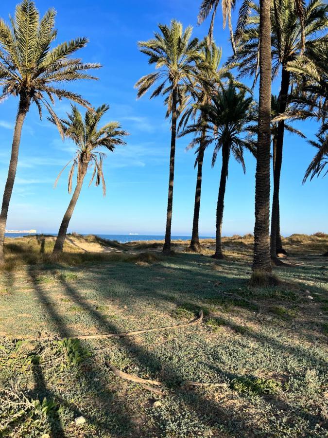 Gound Floor Bungalow Jumilla III Playa Flamenca Dehesa de Campoamor  Exterior photo
